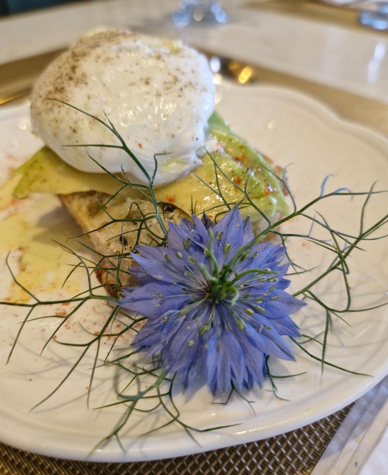 Blumen Hotel Boutique Canela Kültér fotó